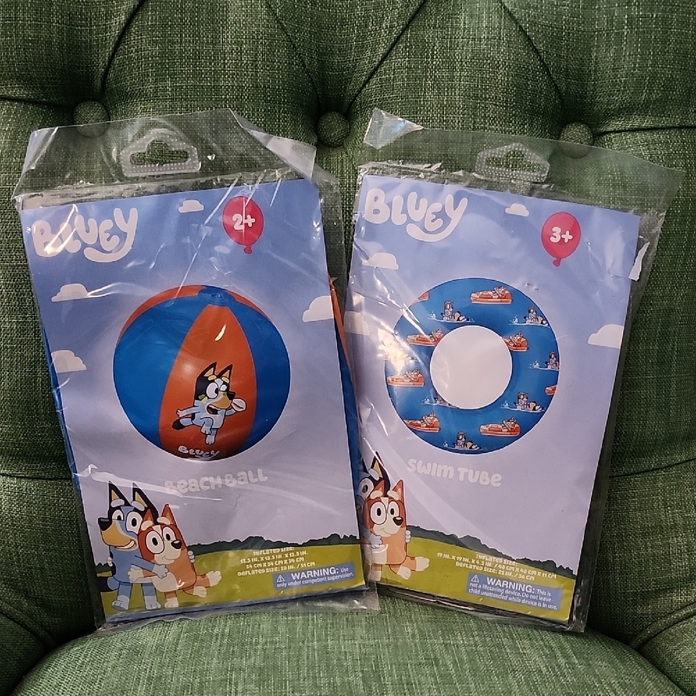 Bluey Beach Ball and Swim Tube Set